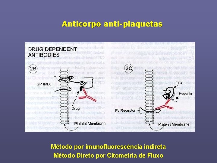 Anticorpo anti-plaquetas Método por imunofluorescência indireta Método Direto por Citometria de Fluxo 