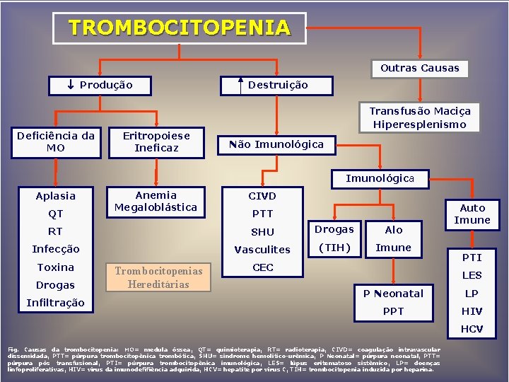 TROMBOCITOPENIA Outras Causas Produção Deficiência da MO Eritropoiese Ineficaz Destruição Transfusão Maciça Hiperesplenismo Não