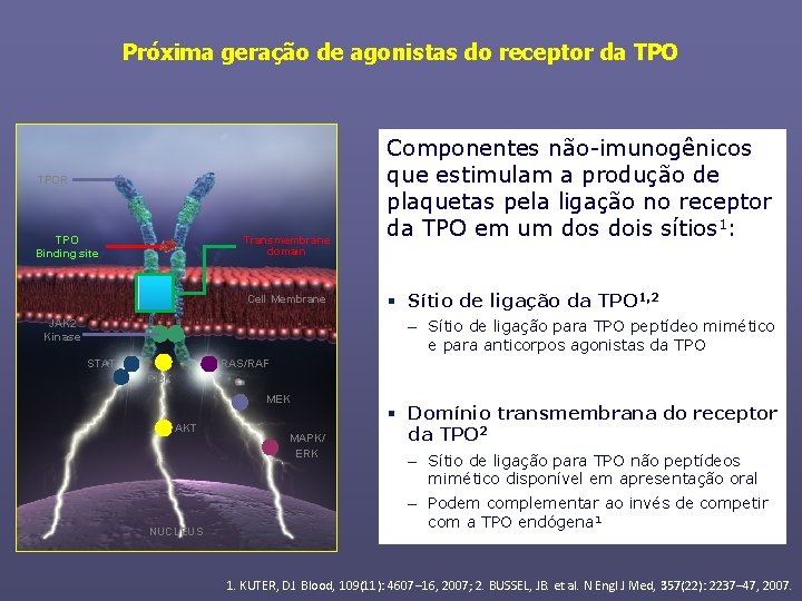 Próxima geração de agonistas do receptor da TPOR TPO Binding site Transmembrane domain Cell