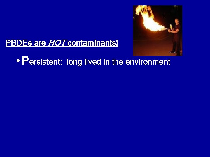 PBDEs are HOT contaminants! • Persistent: long lived in the environment 