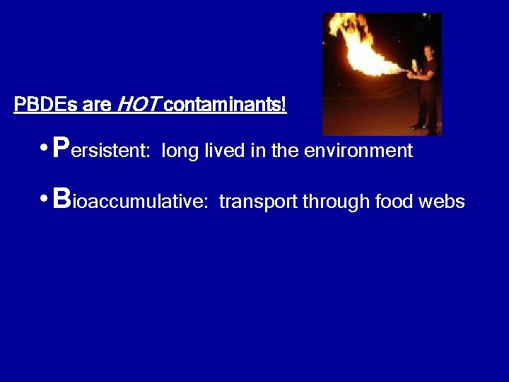 PBDEs are HOT contaminants! • Persistent: long lived in the environment • Bioaccumulative: transport