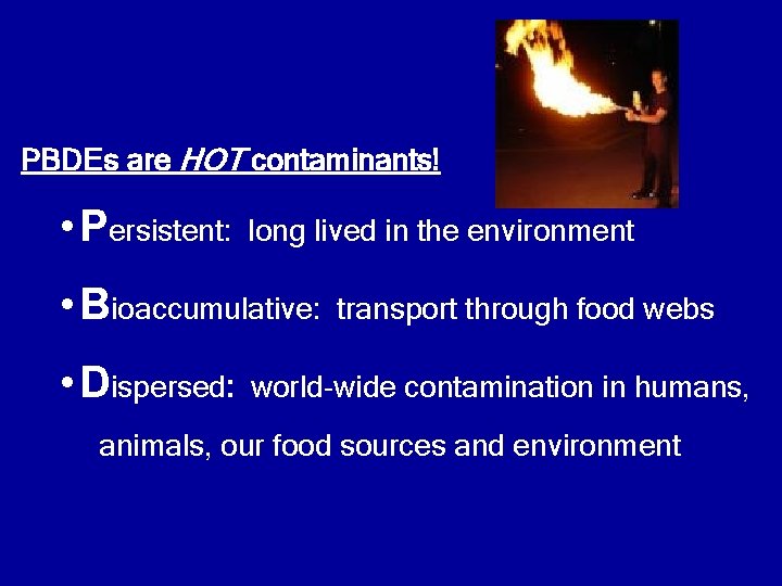 PBDEs are HOT contaminants! • Persistent: long lived in the environment • Bioaccumulative: •