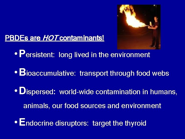 PBDEs are HOT contaminants! • Persistent: long lived in the environment • Bioaccumulative: •