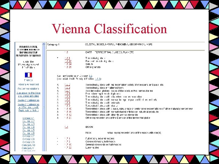 Vienna Classification 