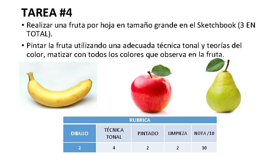 TAREA #4 • Realizar una fruta por hoja en tamaño grande en el Sketchbook