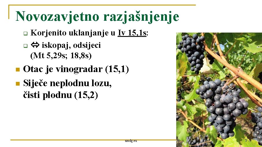 Novozavjetno razjašnjenje q q Korjenito uklanjanje u Iv 15, 1 s: iskopaj, odsijeci (Mt