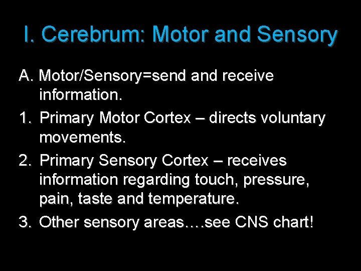 I. Cerebrum: Motor and Sensory A. Motor/Sensory=send and receive information. 1. Primary Motor Cortex