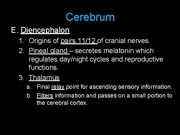 Cerebrum E. Diencephalon 1. Origins of pairs 11/12 of cranial nerves. 2. Pineal gland