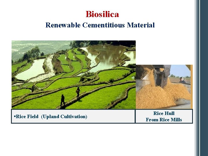 Biosilica Renewable Cementitious Material §Rice Field (Upland Cultivation) Rice Hull From Rice Mills 