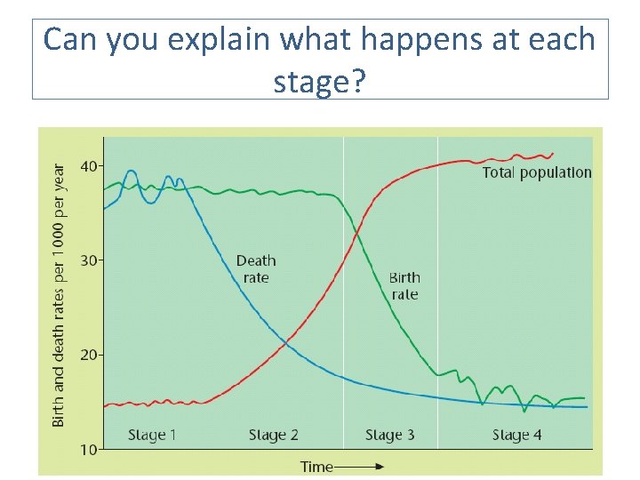 Can you explain what happens at each stage? 