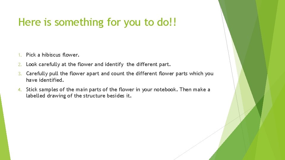 Here is something for you to do!! 1. Pick a hibiscus flower. 2. Look