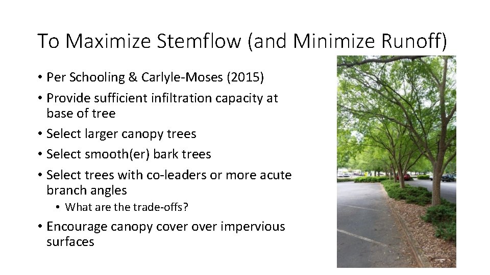 To Maximize Stemflow (and Minimize Runoff) • Per Schooling & Carlyle-Moses (2015) • Provide