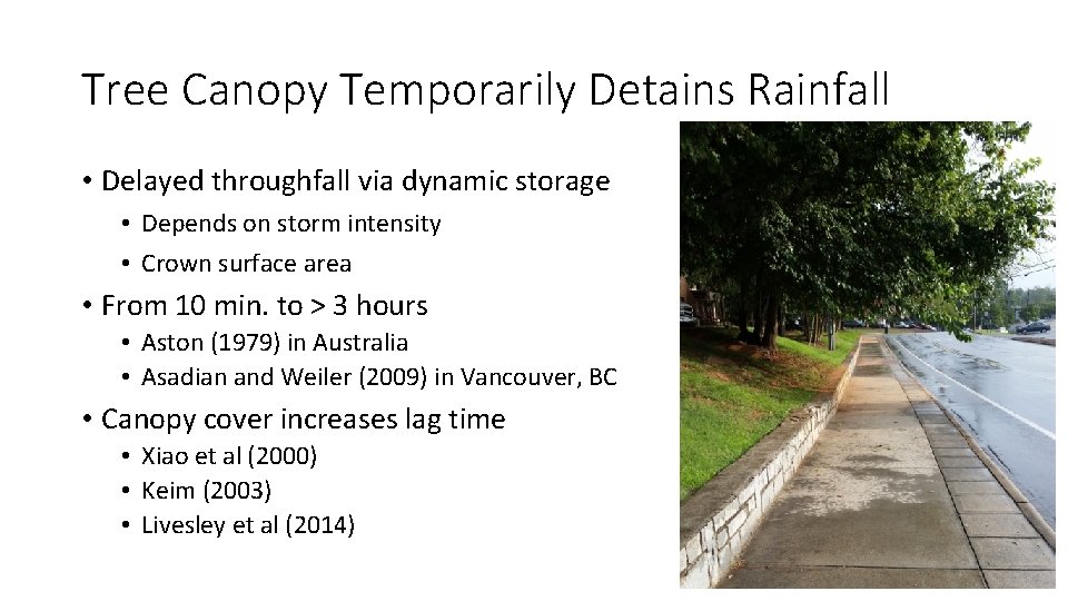 Tree Canopy Temporarily Detains Rainfall • Delayed throughfall via dynamic storage • Depends on