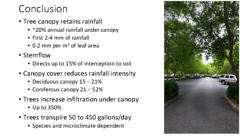Conclusion • Tree canopy retains rainfall • ~20% annual rainfall under canopy • First