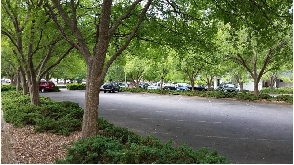 Retrofitting Trees in Extra-Urban Settings Growing trees in gravel beds 