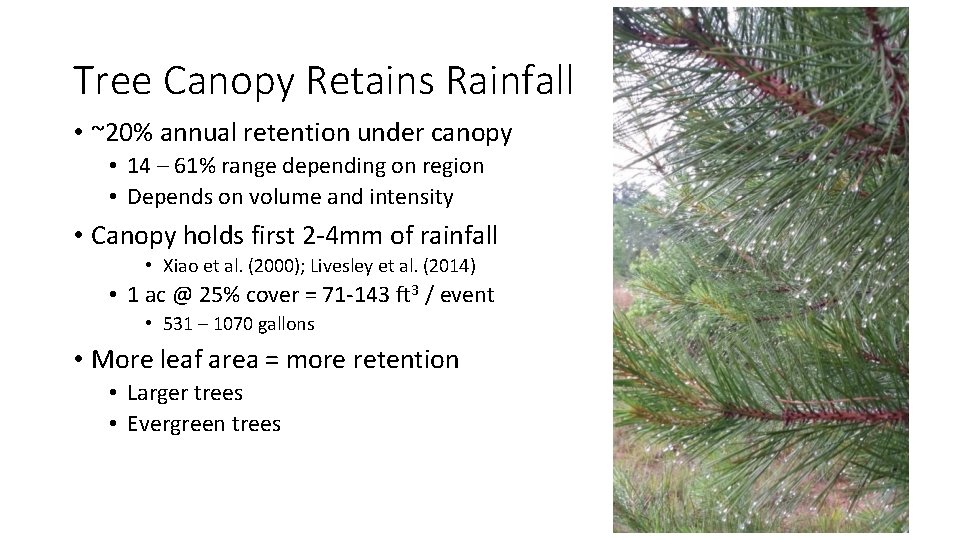 Tree Canopy Retains Rainfall • ~20% annual retention under canopy • 14 – 61%