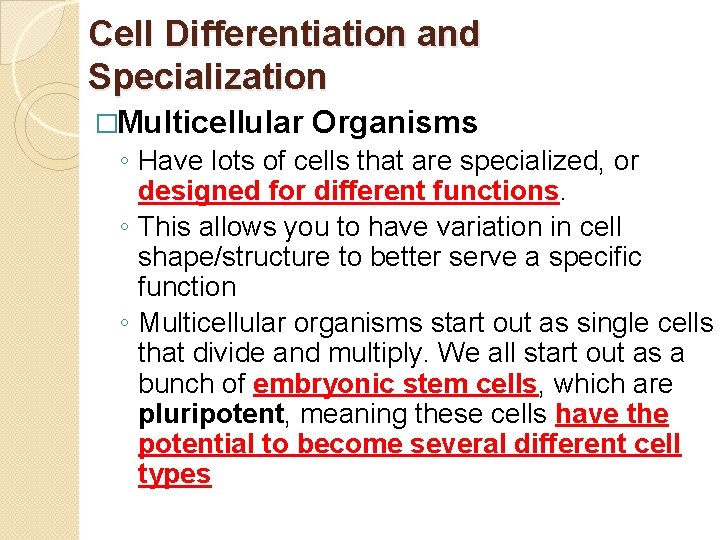 Cell Differentiation and Specialization �Multicellular Organisms ◦ Have lots of cells that are specialized,