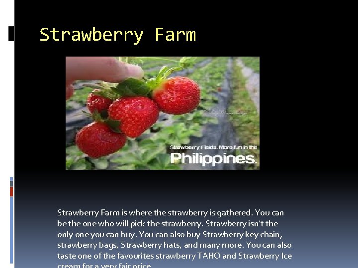 Strawberry Farm is where the strawberry is gathered. You can be the one who