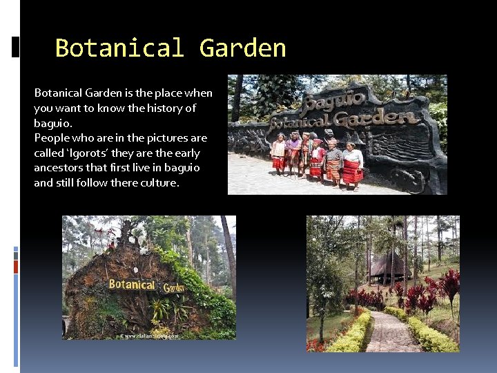 Botanical Garden is the place when you want to know the history of baguio.