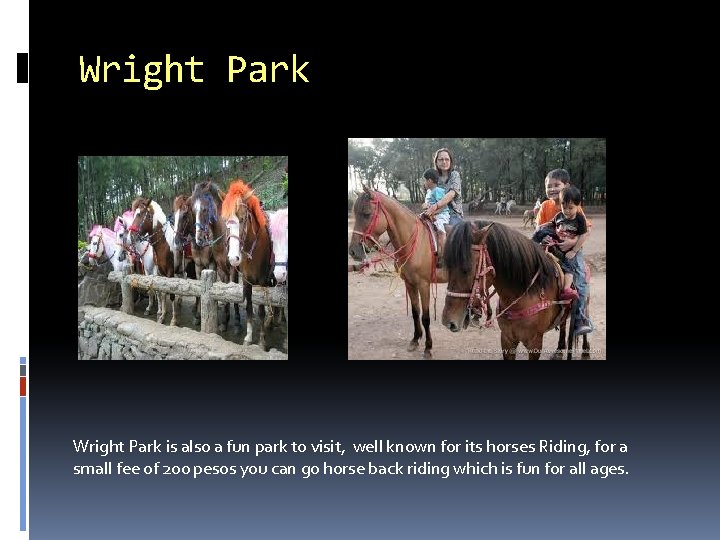 Wright Park is also a fun park to visit, well known for its horses