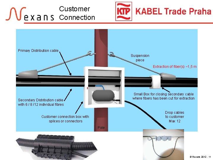 Customer Connection Primary Distribution cable Suspension piece Extraction of fiber(s) ~1, 5 m Small
