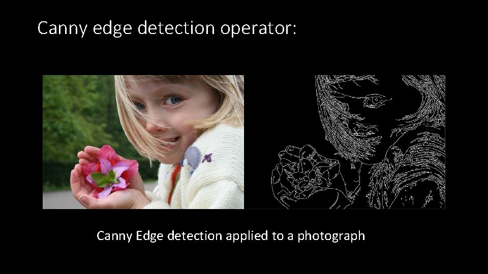 Canny edge detection operator: Canny Edge detection applied to a photograph 