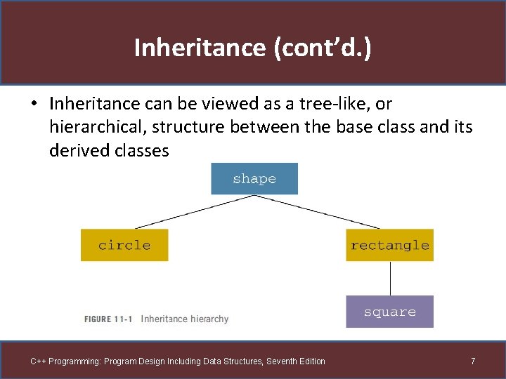 Inheritance (cont’d. ) • Inheritance can be viewed as a tree-like, or hierarchical, structure Inheritance (cont’d. ) • Inheritance can be viewed as a tree-like, or hierarchical, structure