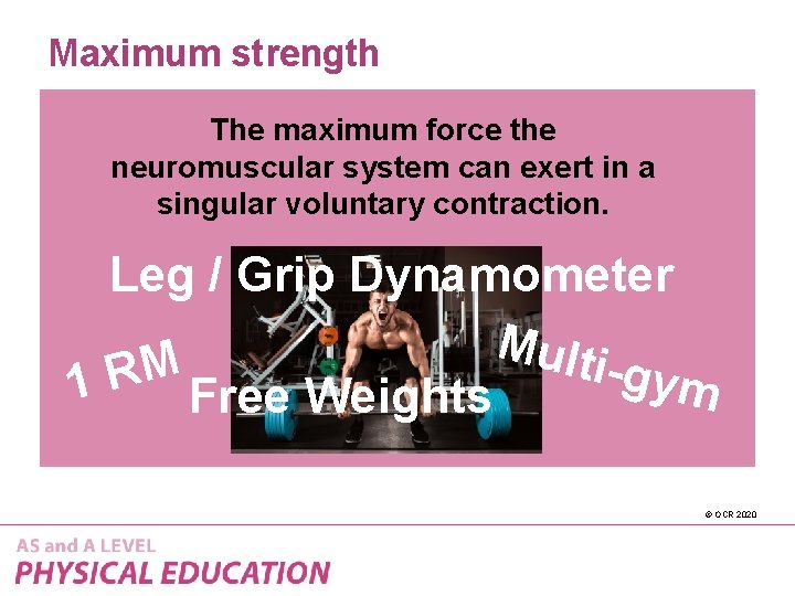 Maximum strength The maximum force the neuromuscular system can exert in a singular voluntary