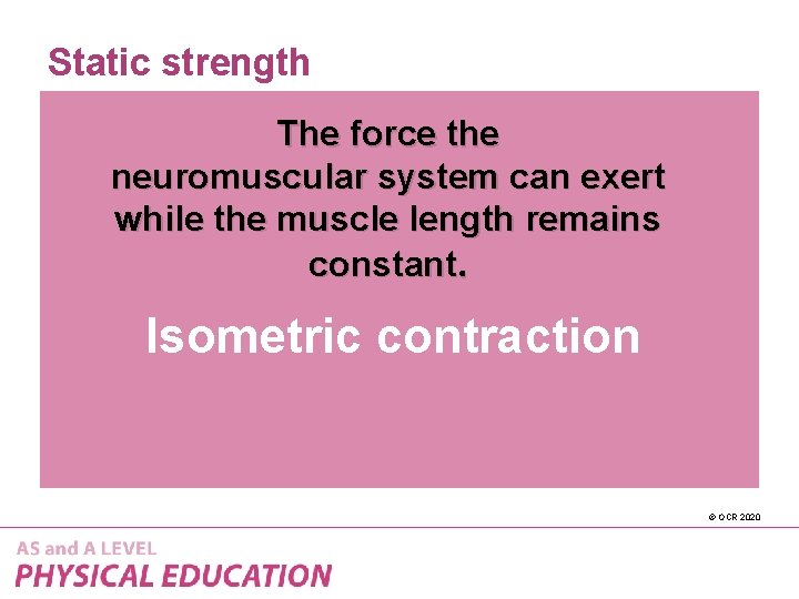 Static strength The force the neuromuscular system can exert while the muscle length remains