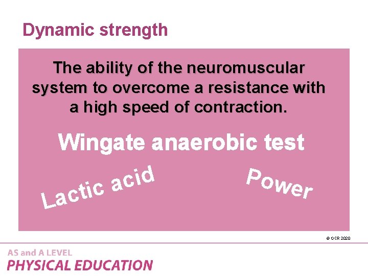 Dynamic strength The ability of the neuromuscular system to overcome a resistance with a