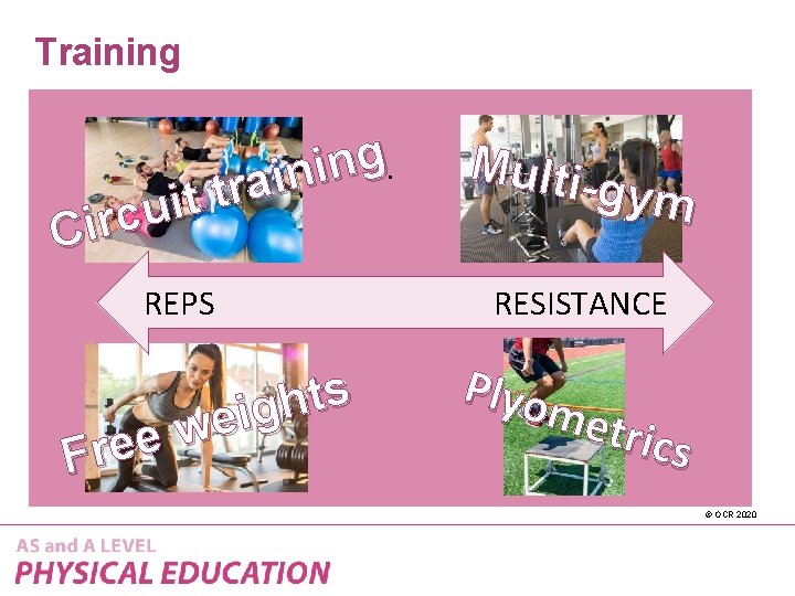 Training g. n i a r t t i u c Cir REPS s