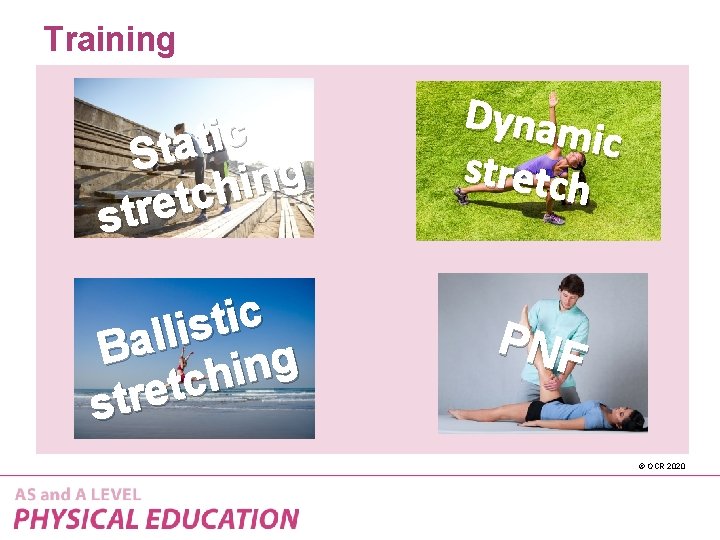 Training c i t a St g n i h c t stre c