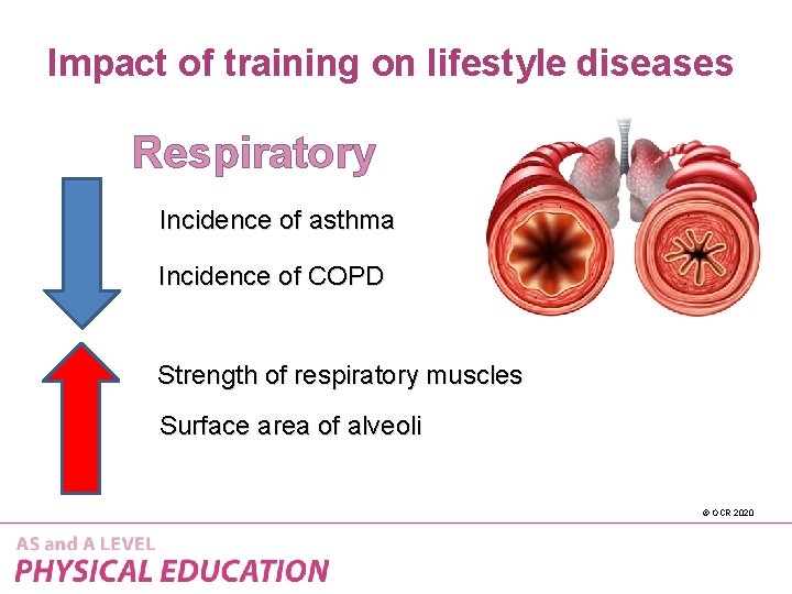 Impact of training on lifestyle diseases Respiratory Incidence of asthma Incidence of COPD Strength