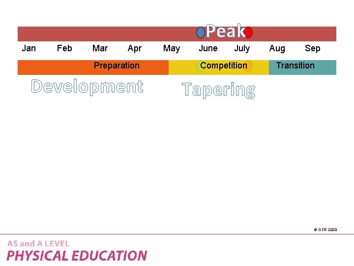 Peak Jan Feb Mar Apr Preparation Development May June July Competition Aug Sep Transition