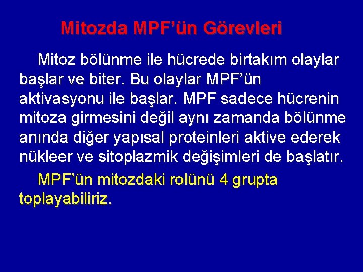 Mitozda MPF’ün Görevleri Mitoz bölünme ile hücrede birtakım olaylar başlar ve biter. Bu olaylar