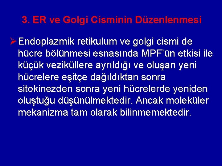 3. ER ve Golgi Cisminin Düzenlenmesi Ø Endoplazmik retikulum ve golgi cismi de hücre