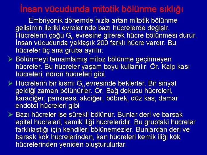 İnsan vücudunda mitotik bölünme sıklığı Embriyonik dönemde hızla artan mitotik bölünme gelişimin ileriki evrelerinde