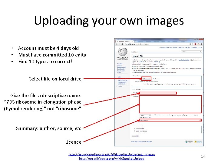 Uploading your own images • Account must be 4 days old • Must have Uploading your own images • Account must be 4 days old • Must have