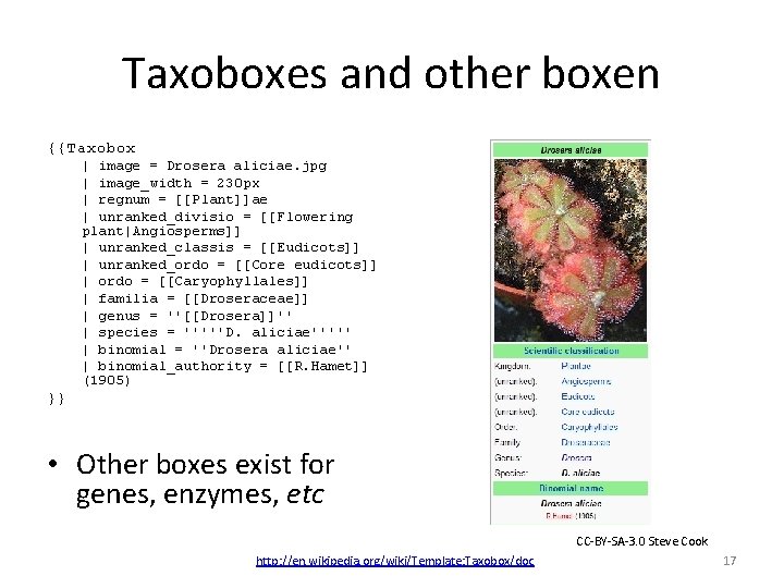 Taxoboxes and other boxen {{Taxobox | image = Drosera aliciae. jpg | image_width = Taxoboxes and other boxen {{Taxobox | image = Drosera aliciae. jpg | image_width =