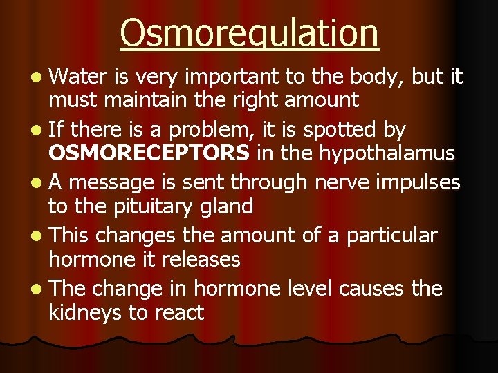Osmoregulation l Water is very important to the body, but it must maintain the