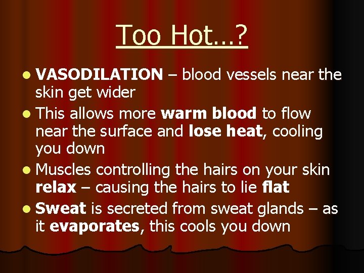 Too Hot…? l VASODILATION – blood vessels near the skin get wider l This