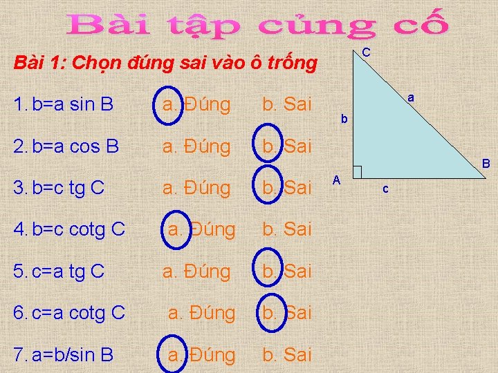 C Bài 1: Chọn đúng sai vào ô trống 1. b=a sin B a.