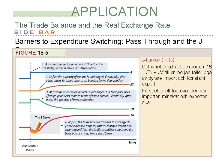 APPLICATION The Trade Balance and the Real Exchange Rate Barriers to Expenditure Switching: Pass-Through