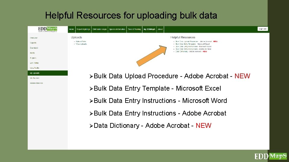 Helpful Resources for uploading bulk data ØBulk Data Upload Procedure - Adobe Acrobat -