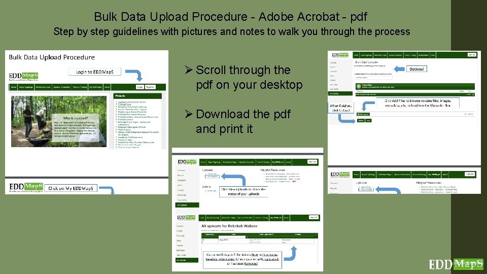 Bulk Data Upload Procedure - Adobe Acrobat - pdf Step by step guidelines with