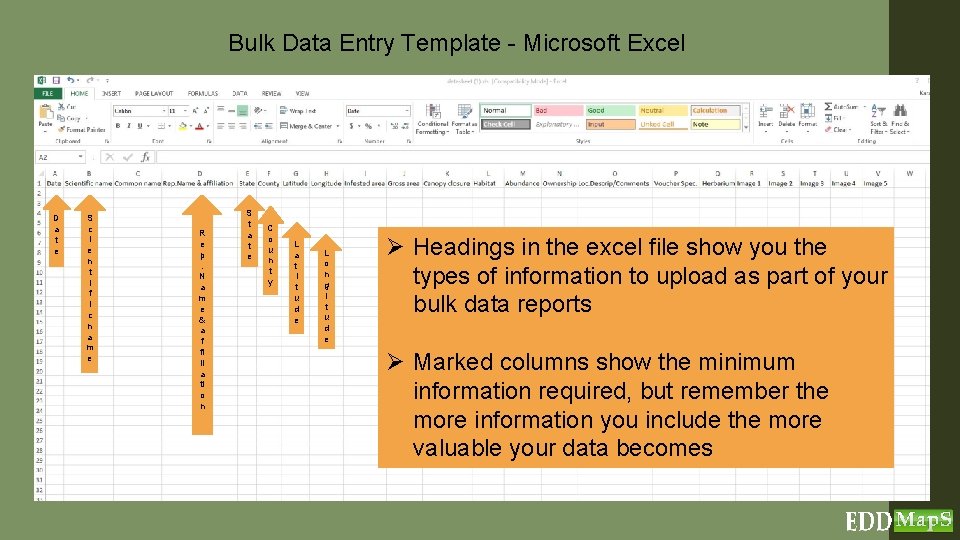 Bulk Data Entry Template - Microsoft Excel D a t e S c i