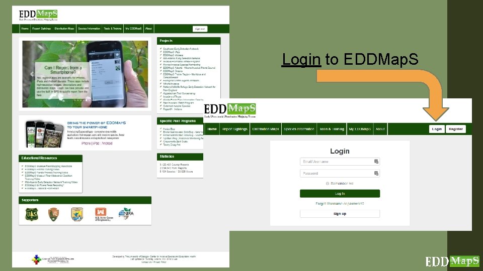 Login to EDDMap. S 