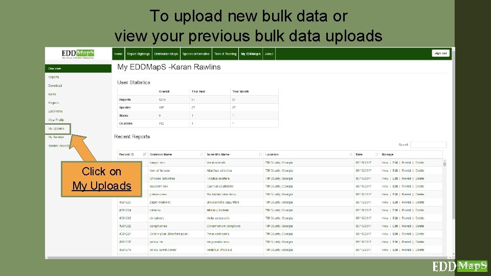 To upload new bulk data or view your previous bulk data uploads Click on