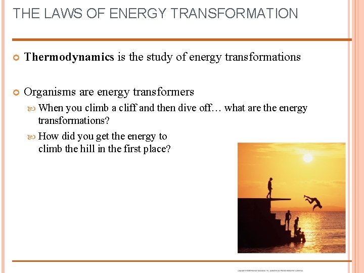 THE LAWS OF ENERGY TRANSFORMATION Thermodynamics is the study of energy transformations Organisms are