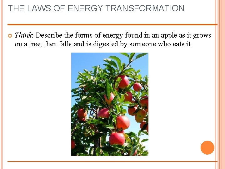 THE LAWS OF ENERGY TRANSFORMATION Think: Describe the forms of energy found in an